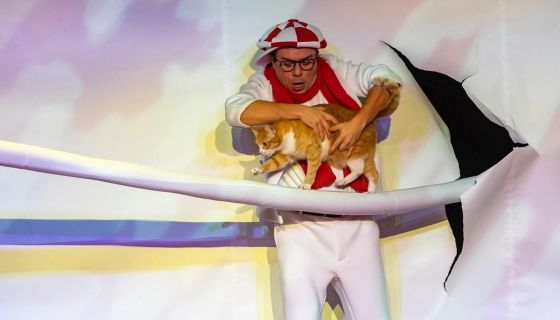 Дмитрий Куклачёв. Котобум