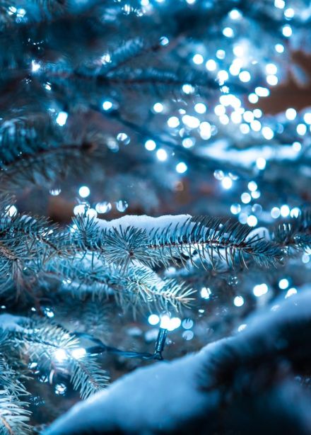 Спектакль «День рождения Снегурочки»