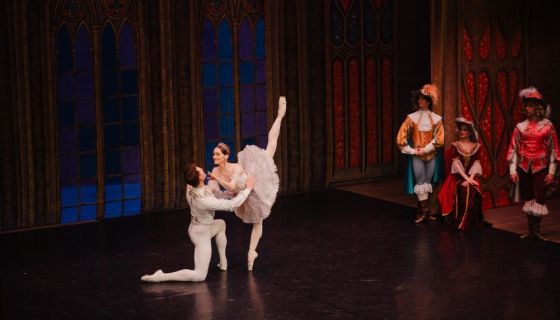 Балет «Спящая красавица»