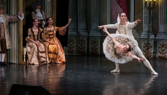 Балет «Спящая красавица»