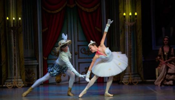 Балет «Спящая красавица»