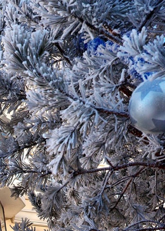 Заснеженное шоу