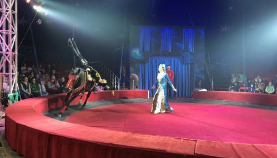 Цирк-шапито «Арена-Ягуар». Шоу «Летучий корабль»