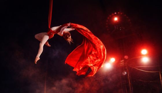 Цирк-шапито «Каракат». Экстрим-шоу, Димитровград