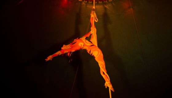 Цирк-шапито «Джокер»