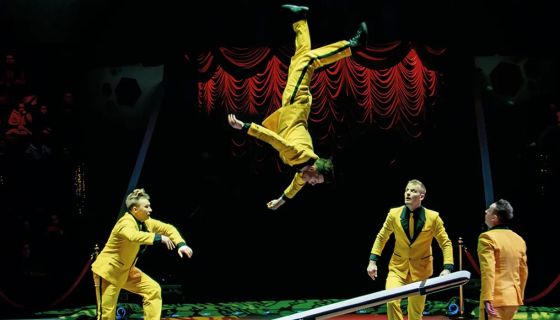 Московский Цирк Никулина. Шоу воды, огня и света!