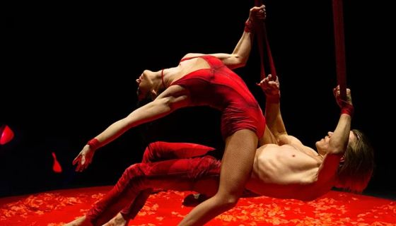 Московский Цирк Никулина. Шоу воды, огня и света!