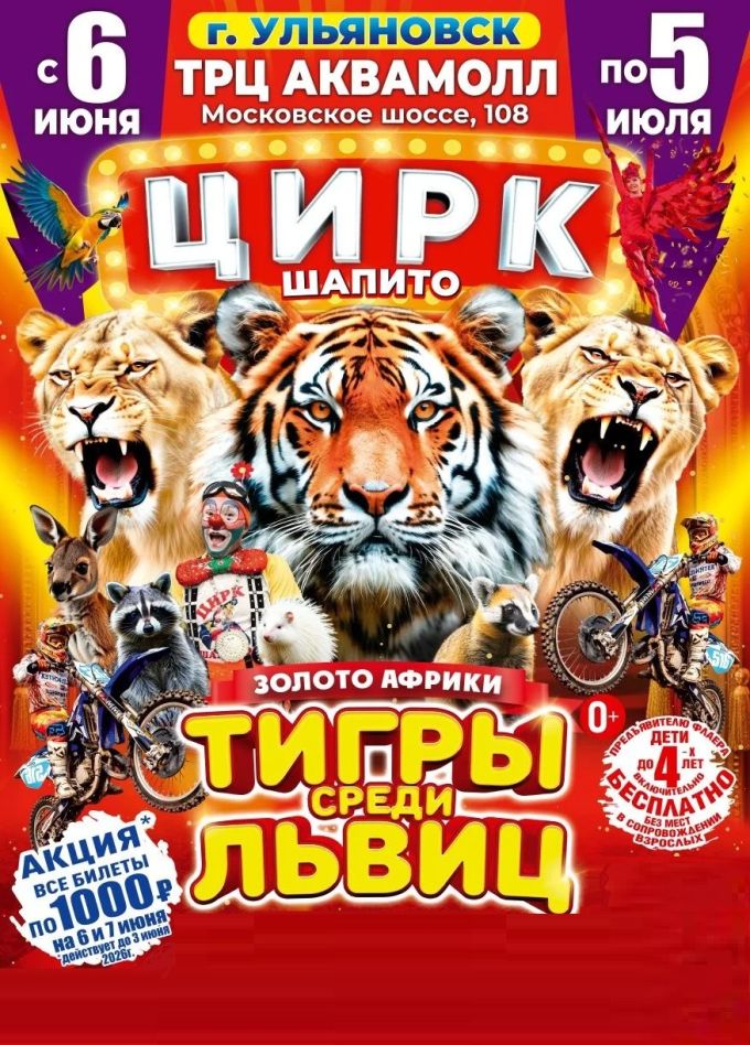 Цирк-шапито «Золото Африки»