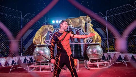 Цирк-шапито «Золото Африки»